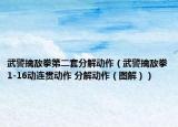 武警擒敌拳第二套分解动作（武警擒敌拳1-16动连贯动作 分解动作（图解））