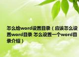 怎么给word设置目录（应该怎么设置word目录 怎么设置一个word目录介绍）
