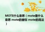 MOTE什么意思（mote是什么意思 mote的音标 mote的用法）