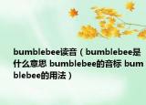 bumblebee读音（bumblebee是什么意思 bumblebee的音标 bumblebee的用法）