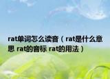 rat单词怎么读音（rat是什么意思 rat的音标 rat的用法）
