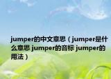 jumper的中文意思（jumper是什么意思 jumper的音标 jumper的用法）