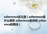 adherence近义词（adherence是什么意思 adherence的音标 adherence的用法）