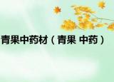 青果中药材（青果 中药）