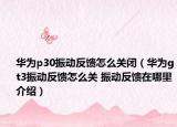 华为p30振动反馈怎么关闭（华为gt3振动反馈怎么关 振动反馈在哪里介绍）