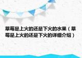 草莓是上火的还是下火的水果（草莓是上火的还是下火的详细介绍）