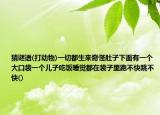 猜谜语(打动物)一切都生来奇怪肚子下面有一个大口袋一个儿子吃饭睡觉都在袋子里跑不快跳不快()