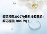数码视讯300079是科技股票吗（数码视讯[300079]）