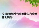 今日更新安全气囊是什么(气囊是什么东西)