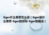 tiger什么意思怎么读（tiger是什么意思 tiger的音标 tiger的用法）