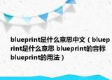 blueprint是什么意思中文（blueprint是什么意思 blueprint的音标 blueprint的用法）