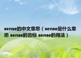 sense的中文意思（sense是什么意思 sense的音标 sense的用法）