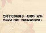 苏打水可以加开水一起喝吗（矿泉水和苏打水能一起喝吗详细介绍）
