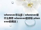whenever怎么读（whenever是什么意思 whenever的音标 whenever的用法）