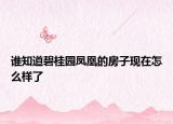谁知道碧桂园凤凰的房子现在怎么样了