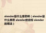 slender是什么意思啊（slender是什么意思 slender的音标 slender的用法）
