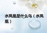 水凤凰是什么鸟（水凤凰）