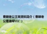 曹颖老公王斑资料简介（曹颖老公是谁呀\