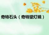 奇特石头（奇特望灯蛾）