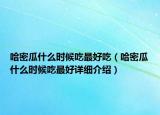 哈密瓜什么时候吃最好吃（哈密瓜什么时候吃最好详细介绍）