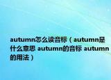 autumn怎么读音标（autumn是什么意思 autumn的音标 autumn的用法）