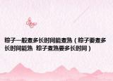 粽子一般煮多长时间能煮熟（粽子要煮多长时间能熟  粽子煮熟要多长时间）