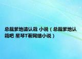 总裁爹地请认栽 小说（总裁爹地认栽吧 星琴T著网络小说）