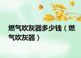 燃气吹灰器多少钱（燃气吹灰器）