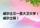 威尔士三一圣大卫大学（威尔士猫）
