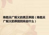 陈胜吴广起义的真正原因（陈胜吴广起义的原因到底是什么）