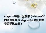 ebg-an10是什么意思（ebg-an10的型号是什么 ebg-an10是什么型号的手机介绍）