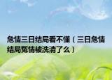 危情三日结局看不懂（三日危情结局冤情被洗清了么）