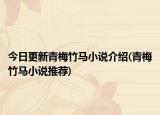 今日更新青梅竹马小说介绍(青梅竹马小说推荐)