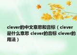 clever的中文意思和音标（clever是什么意思 clever的音标 clever的用法）