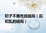 妃子不善各自结局（后妃乱的结局）