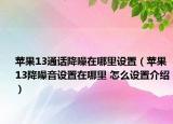 苹果13通话降噪在哪里设置（苹果13降噪音设置在哪里 怎么设置介绍）