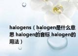 halogens（halogen是什么意思 halogen的音标 halogen的用法）
