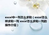 excel中一列怎么求和（excel怎么样求和一列 excel怎么求和一列的操作介绍）