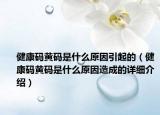 健康码黄码是什么原因引起的（健康码黄码是什么原因造成的详细介绍）