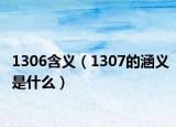 1306含义（1307的涵义是什么）