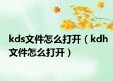 kds文件怎么打开（kdh文件怎么打开）