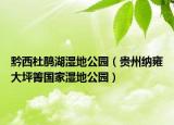 黔西杜鹃湖湿地公园（贵州纳雍大坪箐国家湿地公园）