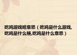 吃鸡游戏啥意思（吃鸡是什么游戏,吃鸡是什么梗,吃鸡是什么意思）