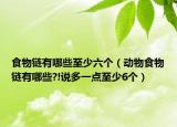 食物链有哪些至少六个（动物食物链有哪些?!说多一点至少6个）