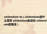 addendum to（addendum是什么意思 addendum的音标 addendum的用法）