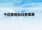 今日更新向日葵寓意