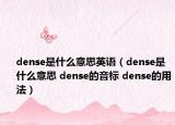 dense是什么意思英语（dense是什么意思 dense的音标 dense的用法）