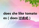 does she like tomatoes（does 过去式）