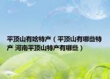 平顶山有啥特产（平顶山有哪些特产 河南平顶山特产有哪些）