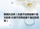 板栗扒白菜（扒栗子白菜是哪个地方的菜 扒栗子白菜是哪个地方的菜系）